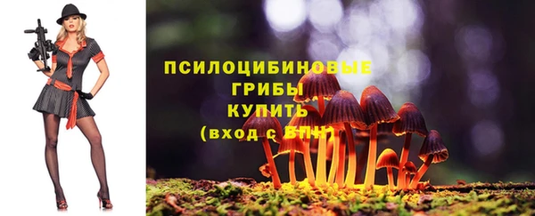 не бодяженный Каменка