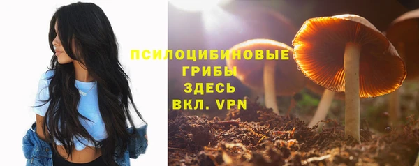 стафф Каменск-Шахтинский