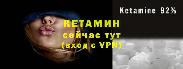 спиды Каменногорск