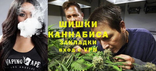 стафф Каменск-Шахтинский