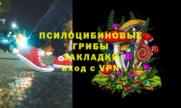 стафф Каменск-Шахтинский