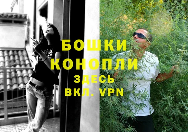 спиды Каменногорск
