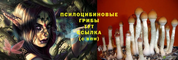 стафф Каменск-Шахтинский