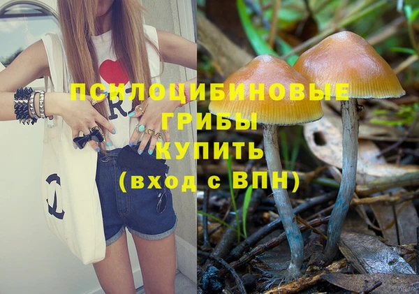 спиды Каменногорск