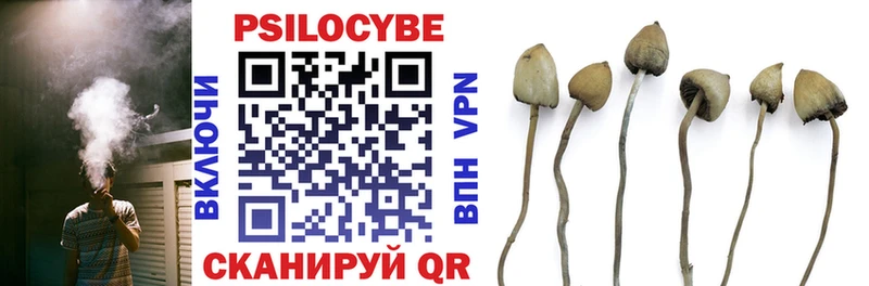 Купить где  Ишимбай  Галлюциногенные грибы MAGIC MUSHROOMS 